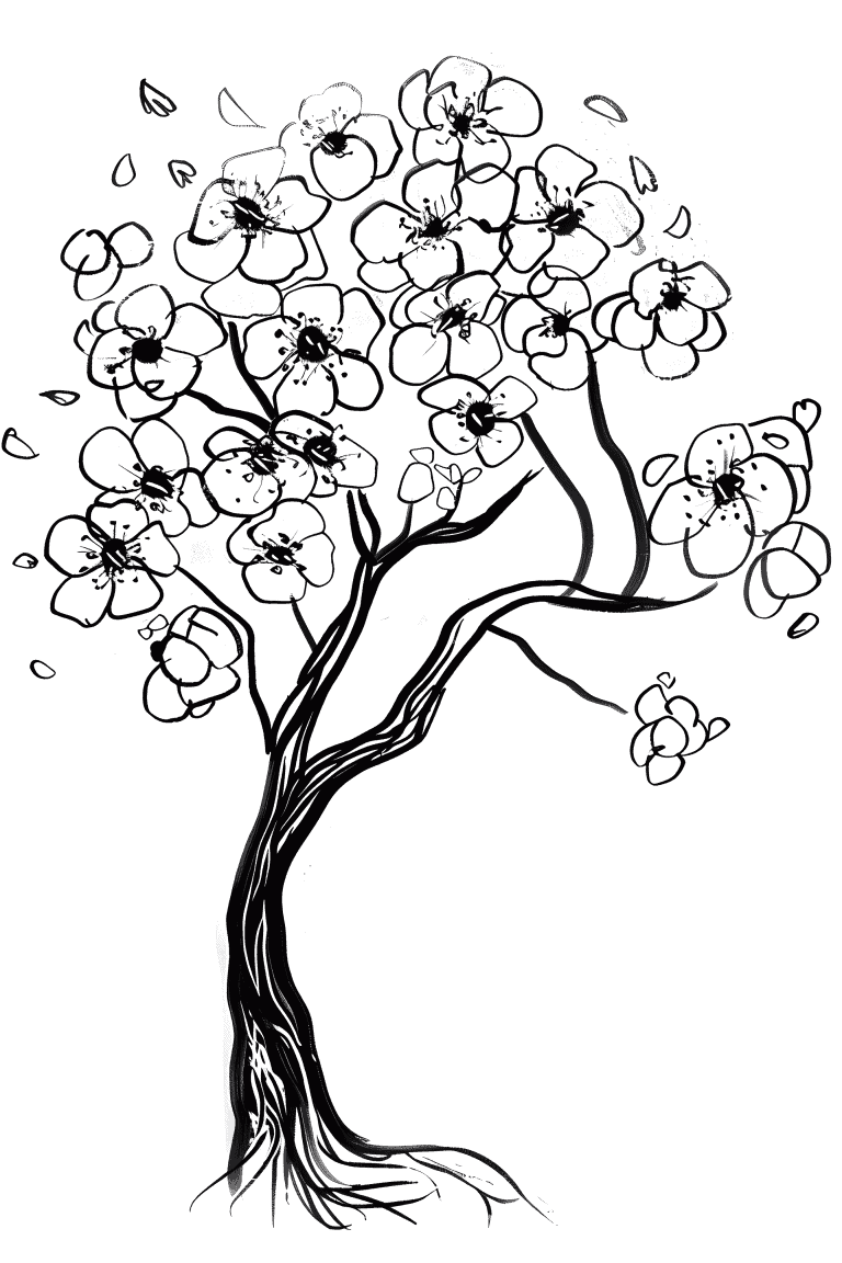 Blooming Cheery blossom Tree