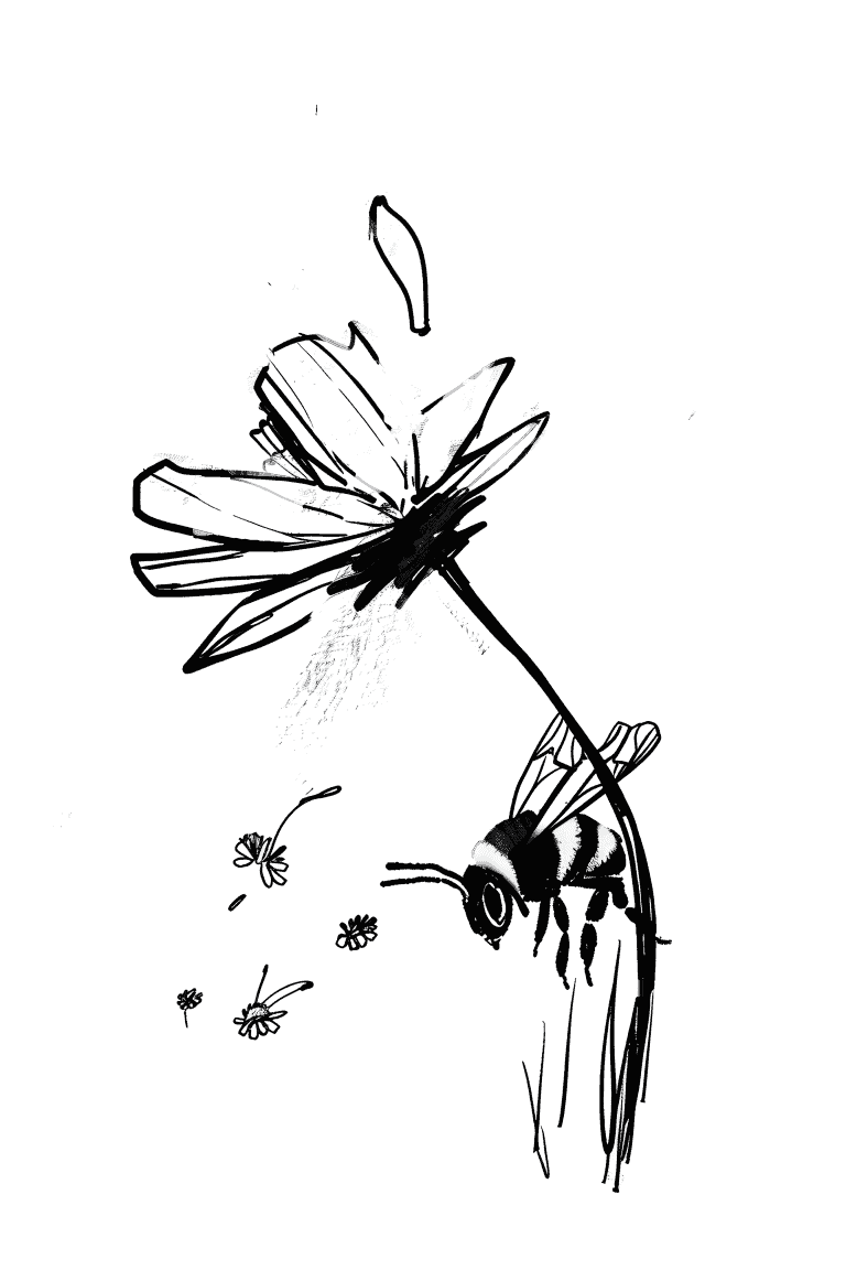 Bee Collecting Pollen