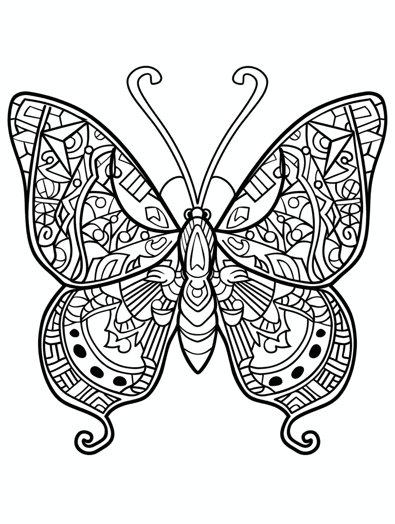 Aztec Inspired Butterfly Wings