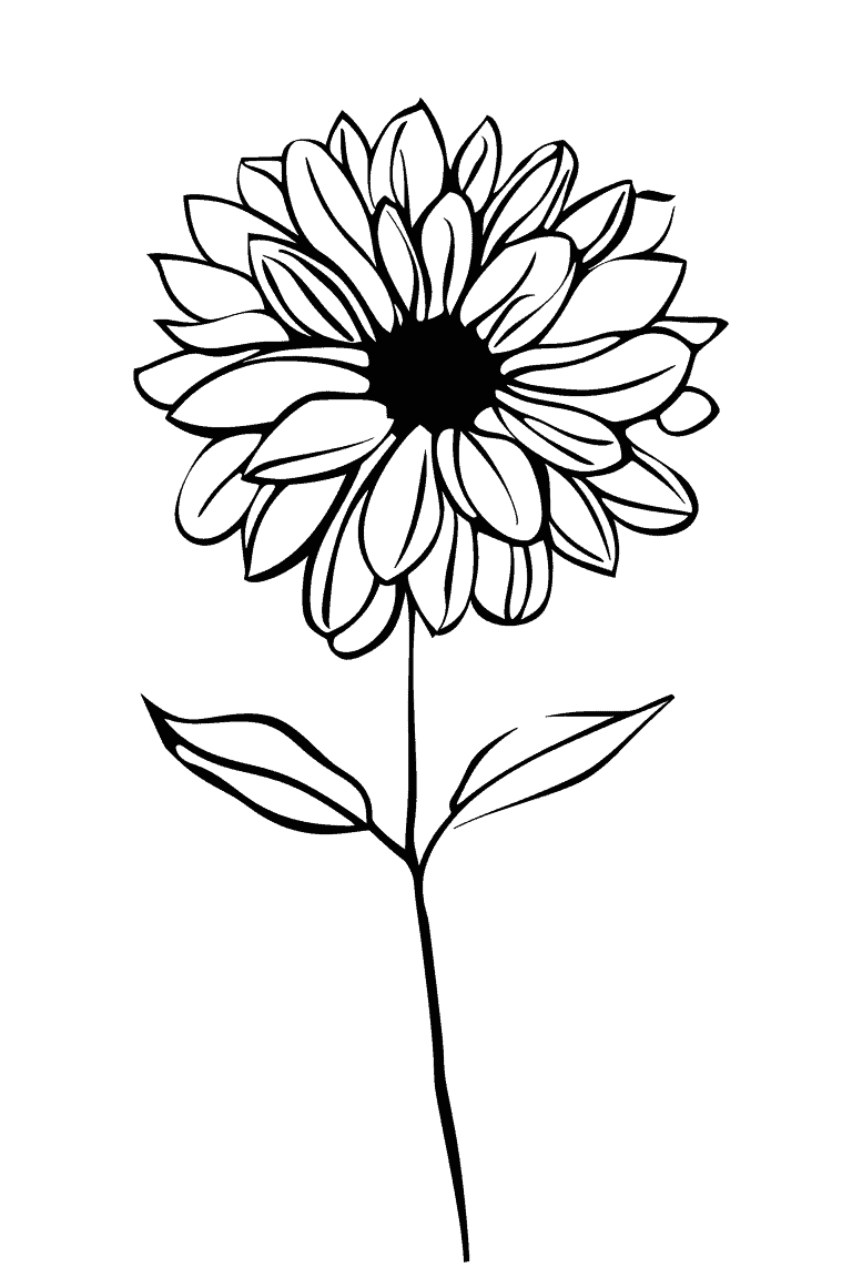 Cheerful Dahlia
