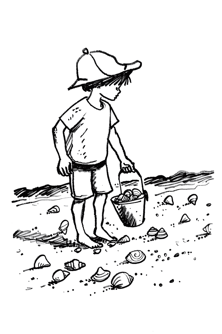 Boy Finding Sea Shells