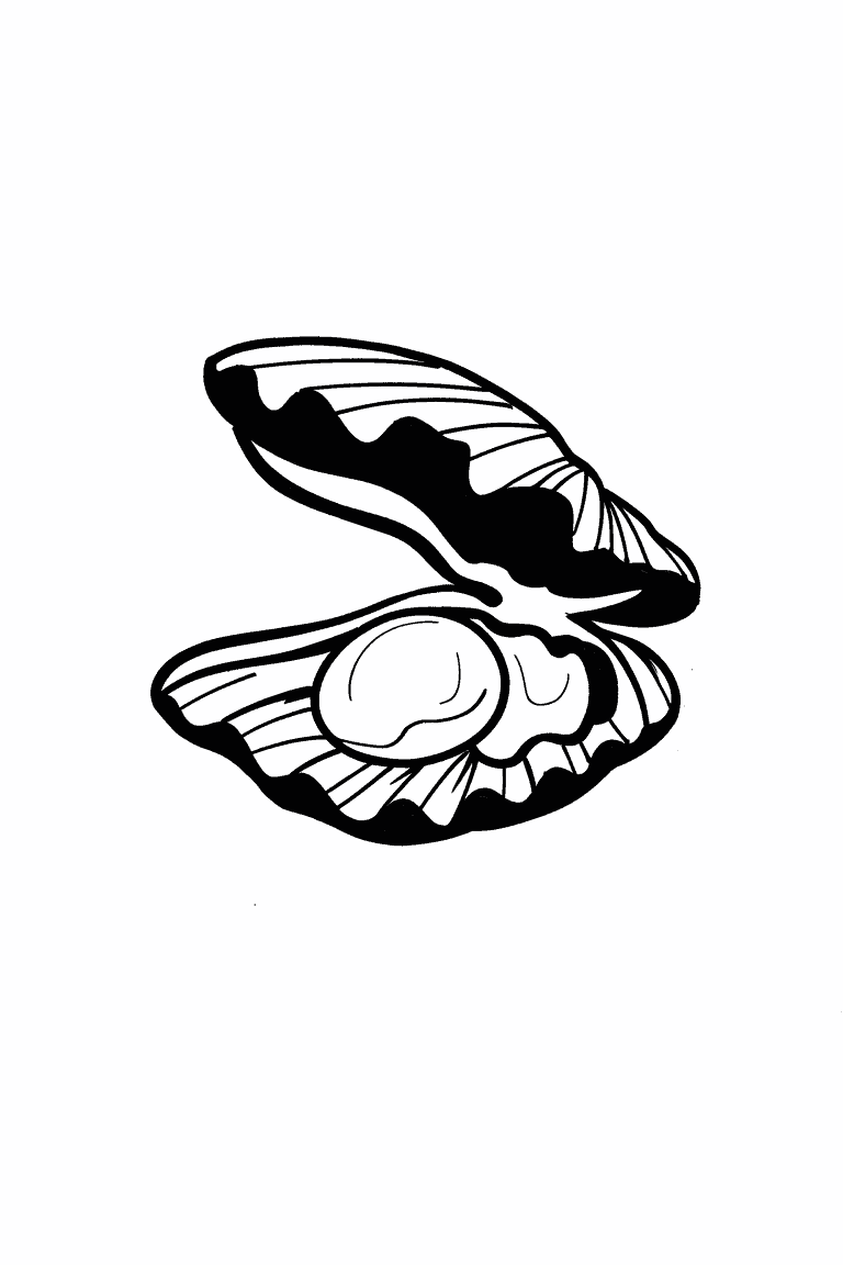 Clam Shell