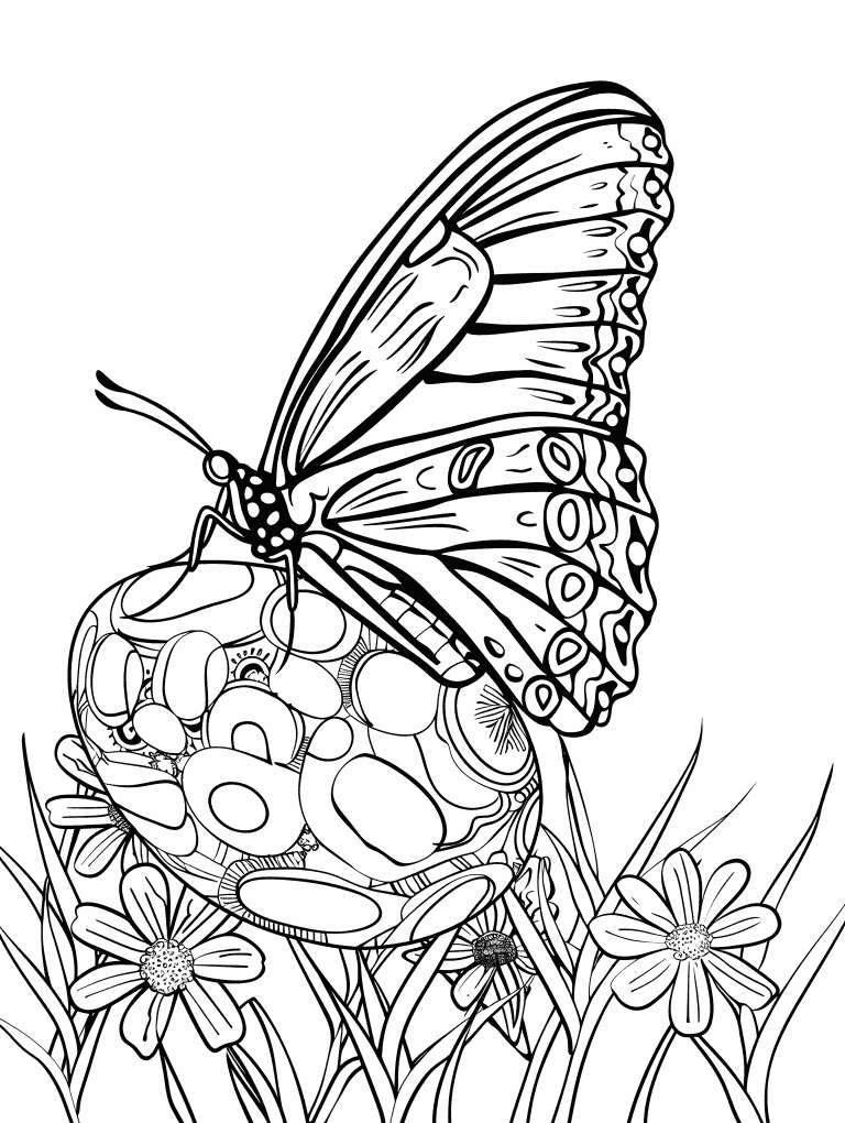 Butterfly Resting On Easter Egg