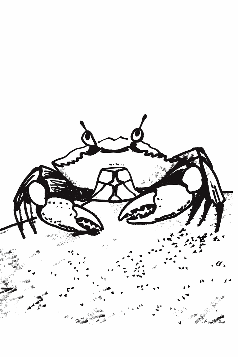 Crab