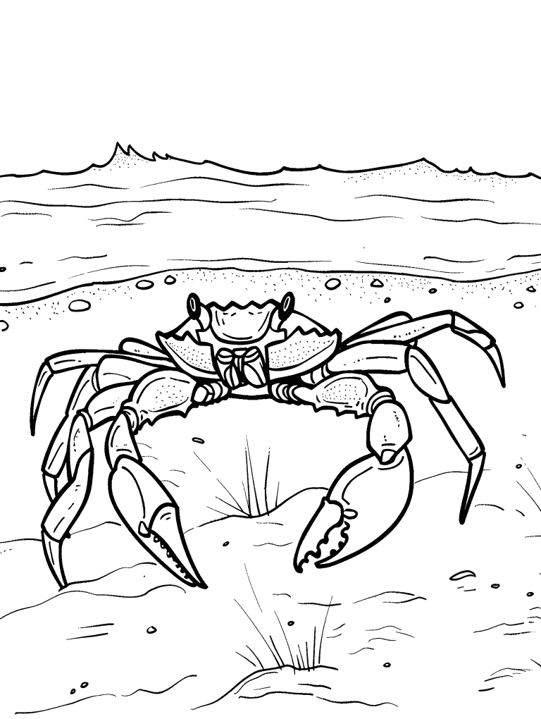 Crab Scuttling Along The Shore