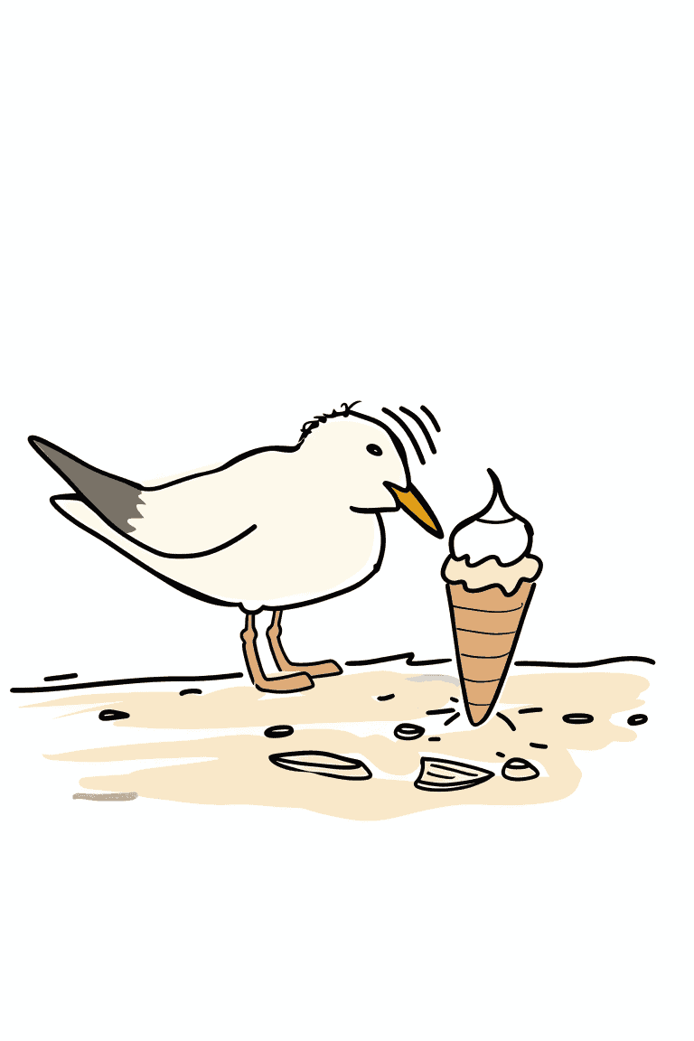 Seagull Pecking An Ice Cream