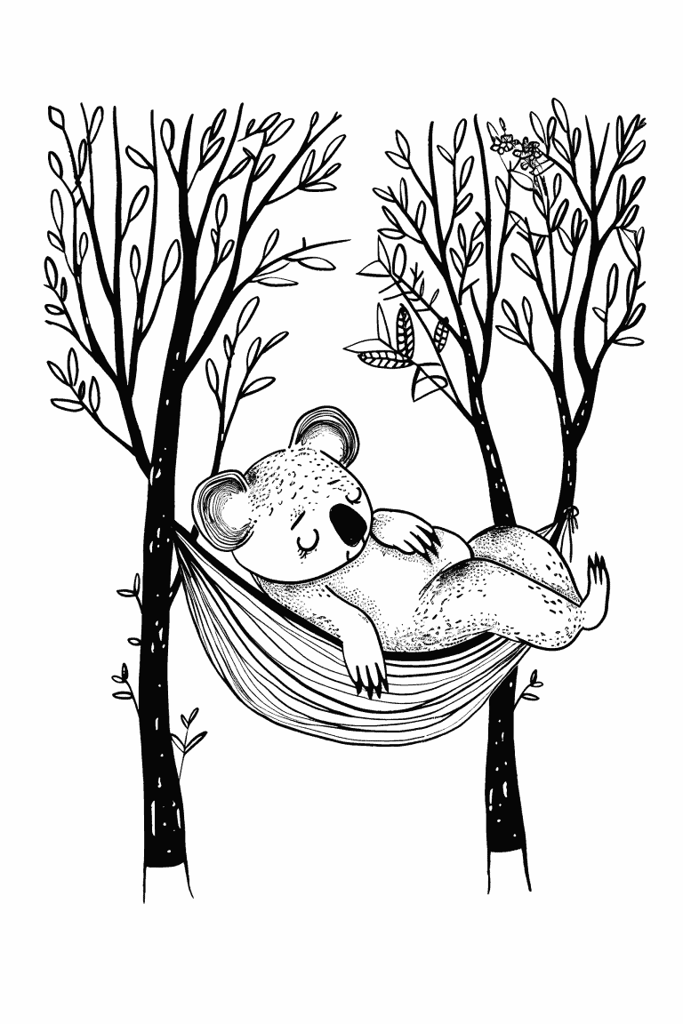 Koala Sleeping In A Hammock