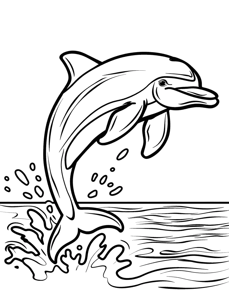 Dolphin Jumping Out Of Water