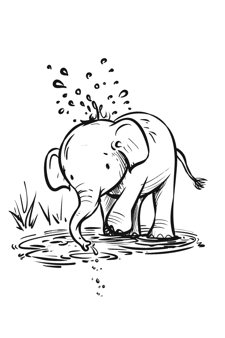 Elephant Spraying Water