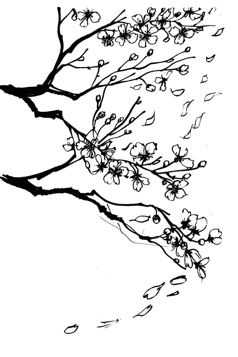Rustling Cherryblossoms
