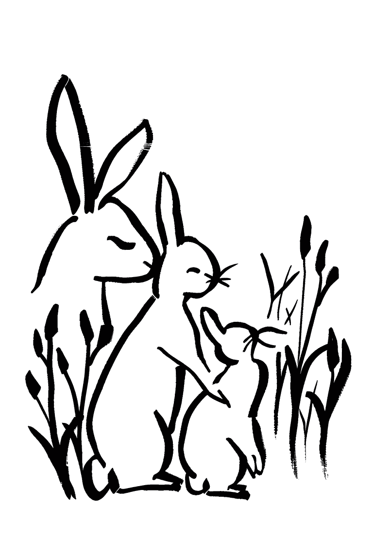 Family Of Rabbits