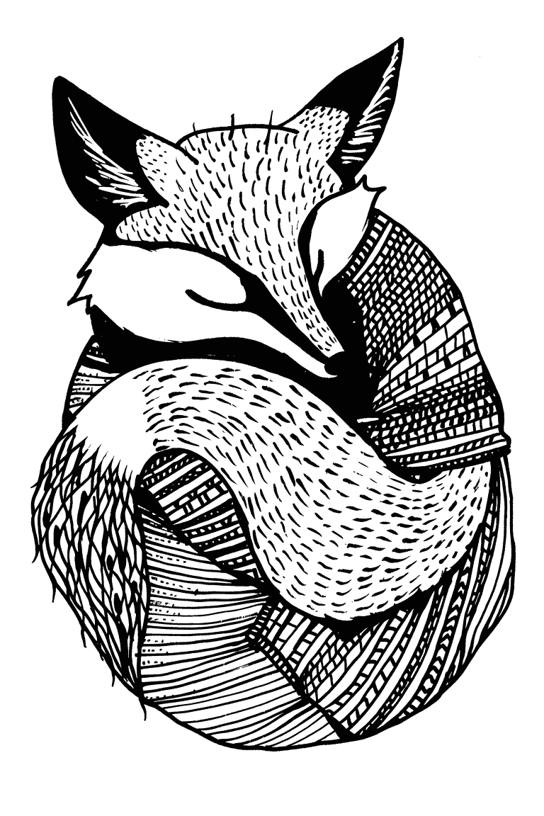 Curled Up Fox