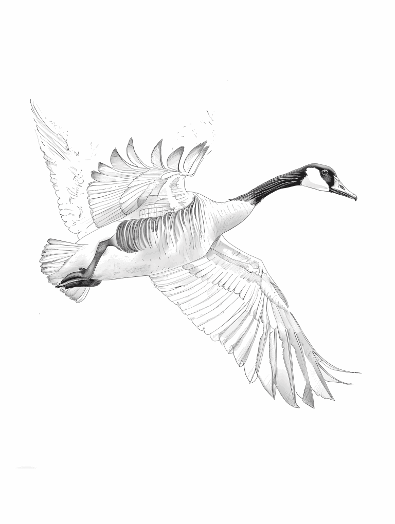 Goose Taking Flight