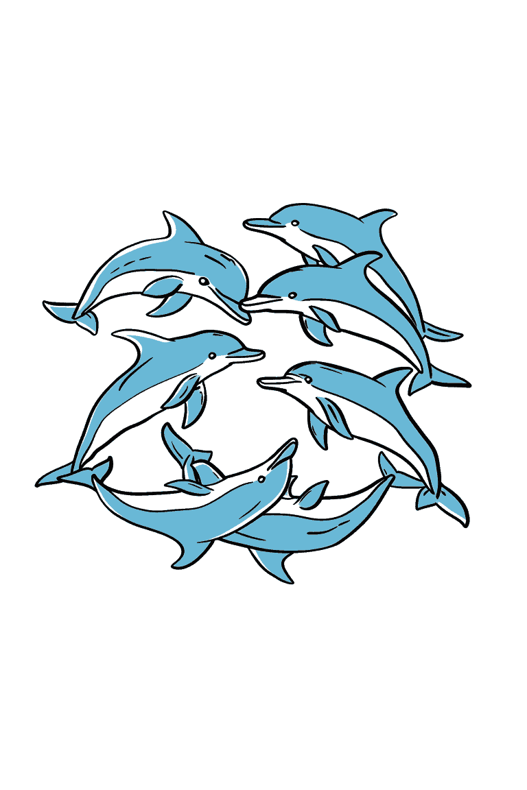 Group Of Dolphins