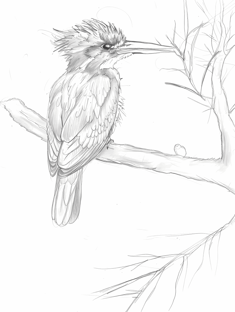Kingfisher Perched On A Branch