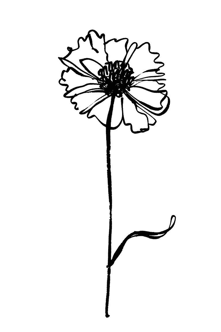 Marigold