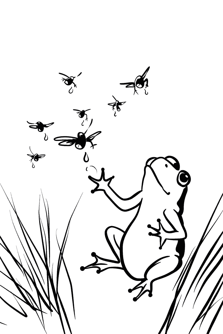 Frog Catching Flies