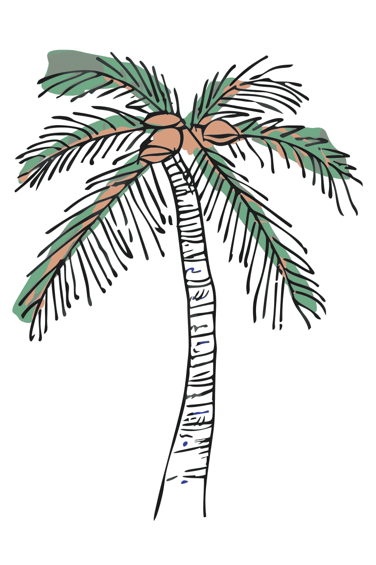 Palm Tree