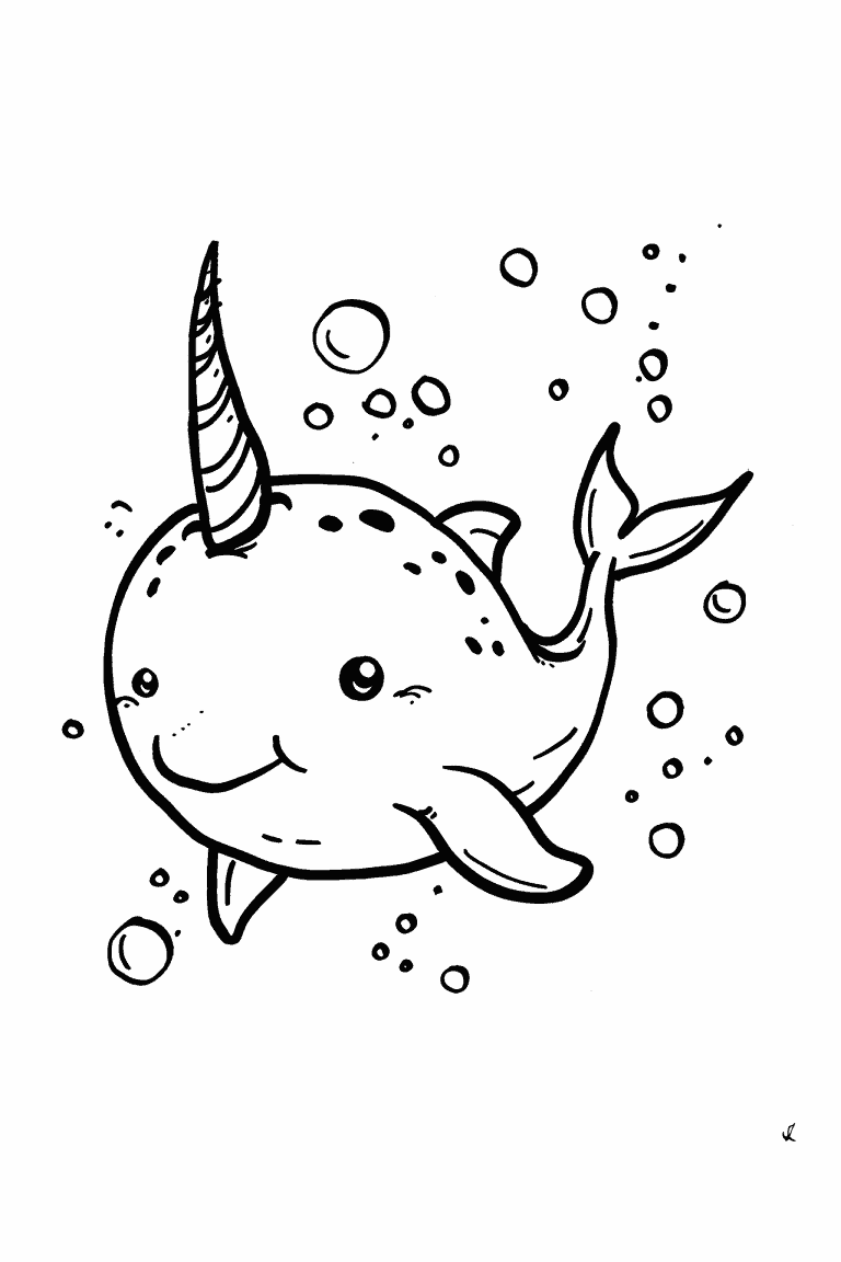 Baby Narwhal