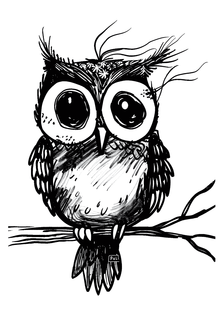 Owl Perched On Branch