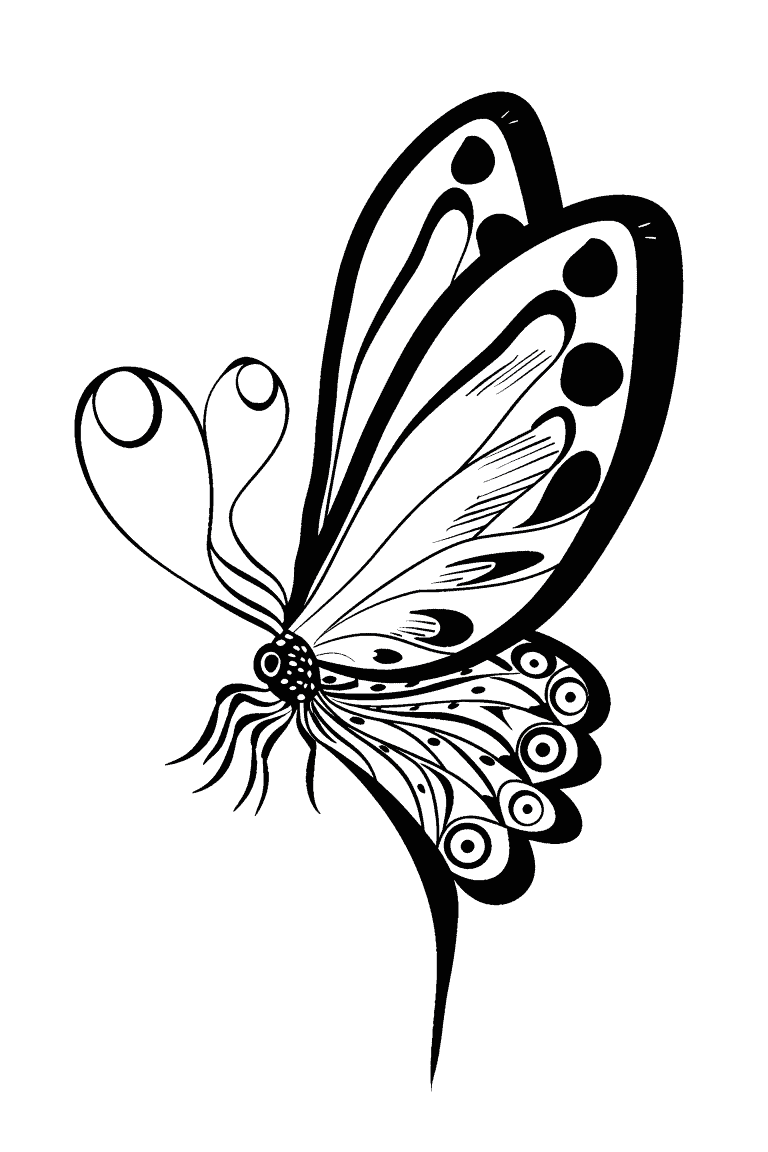 Playful Butterfly