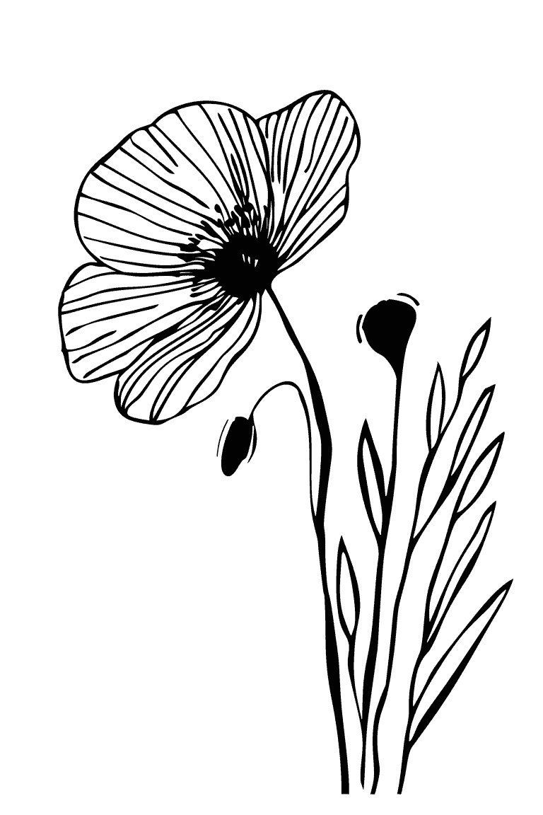 Poppy