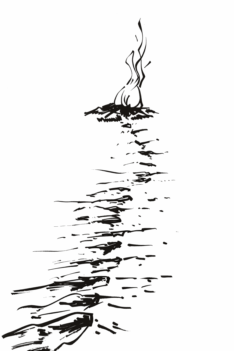 Bonfire At A Beach