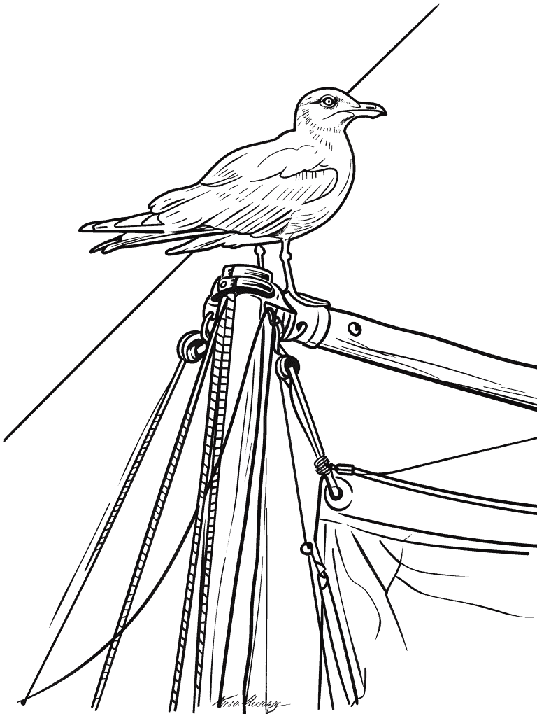 Seagull Perched On A Mast