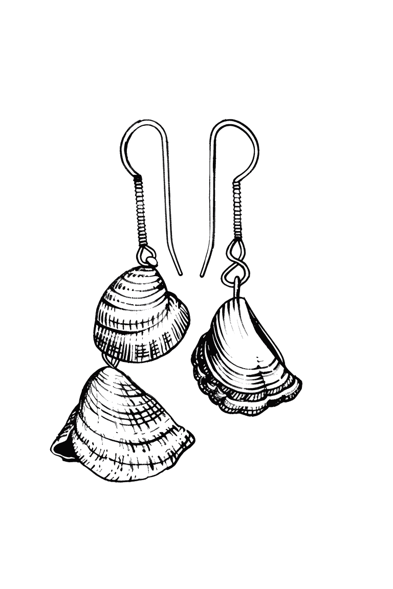 Sea Shell Earrings
