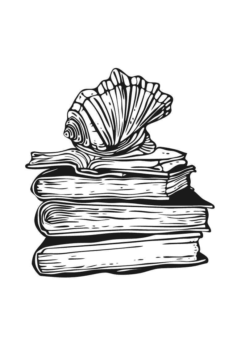 Sea shell On Top Of Books