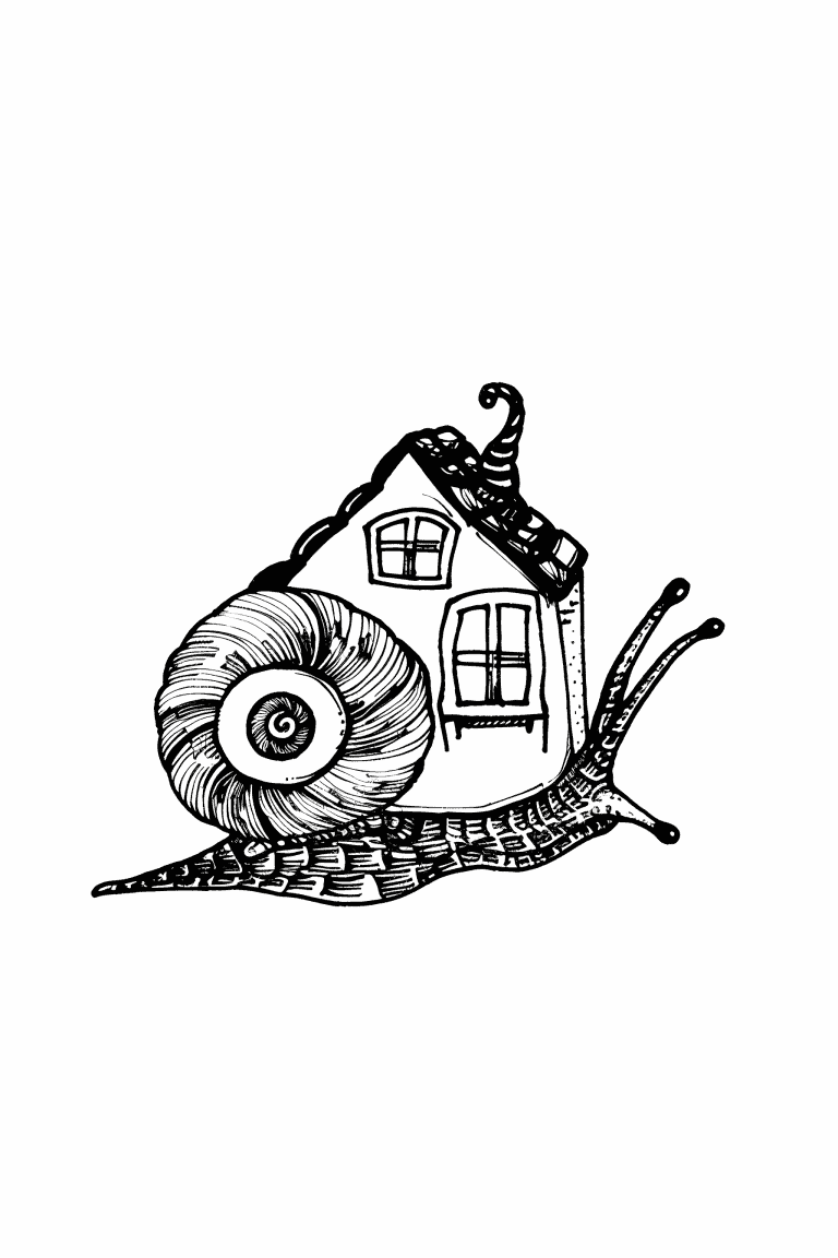Snail With A House On It’s Back