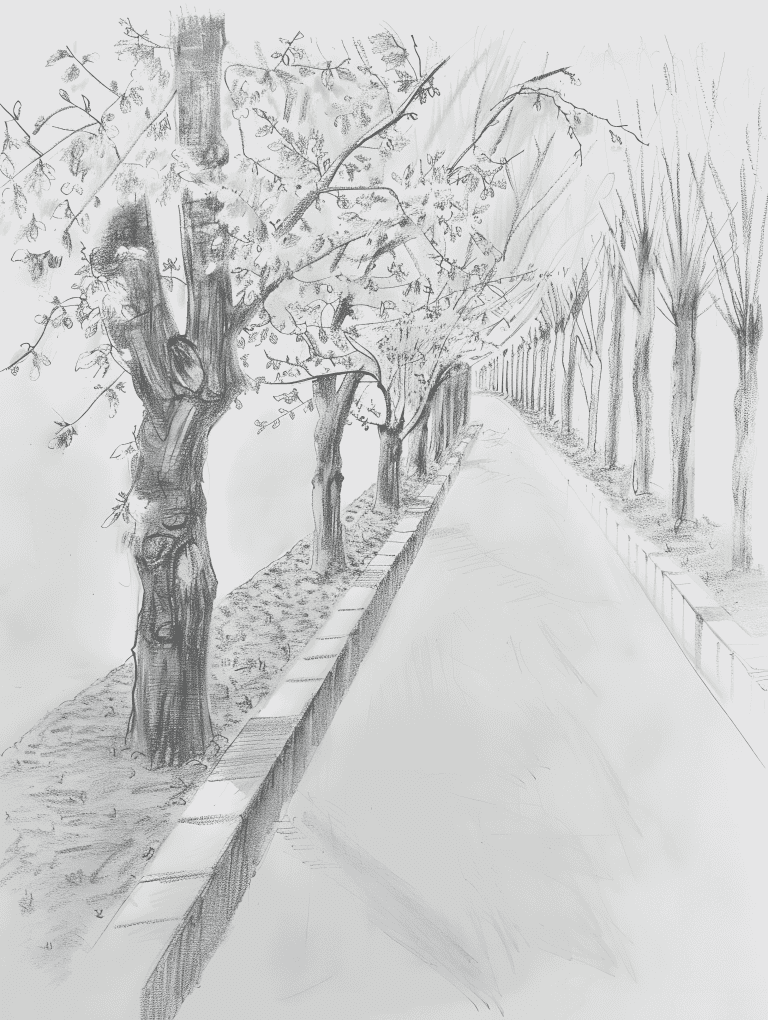 Park Filled With Cherry Blossoms