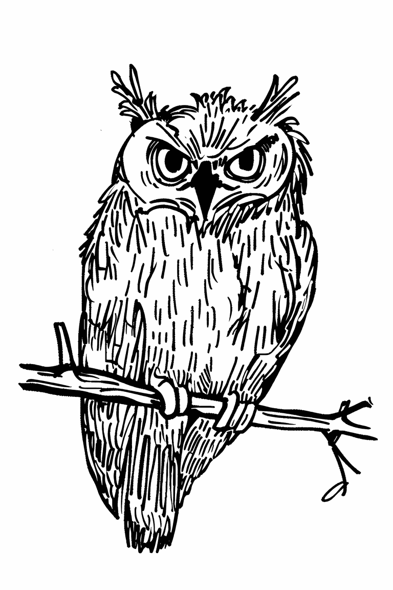 Owl Perched On A Branch