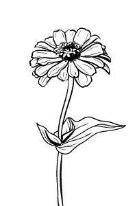 Spring Flower Doodle Ideas