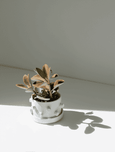 25 DIY Wooden Planters For Your Garden - Brighter Craft