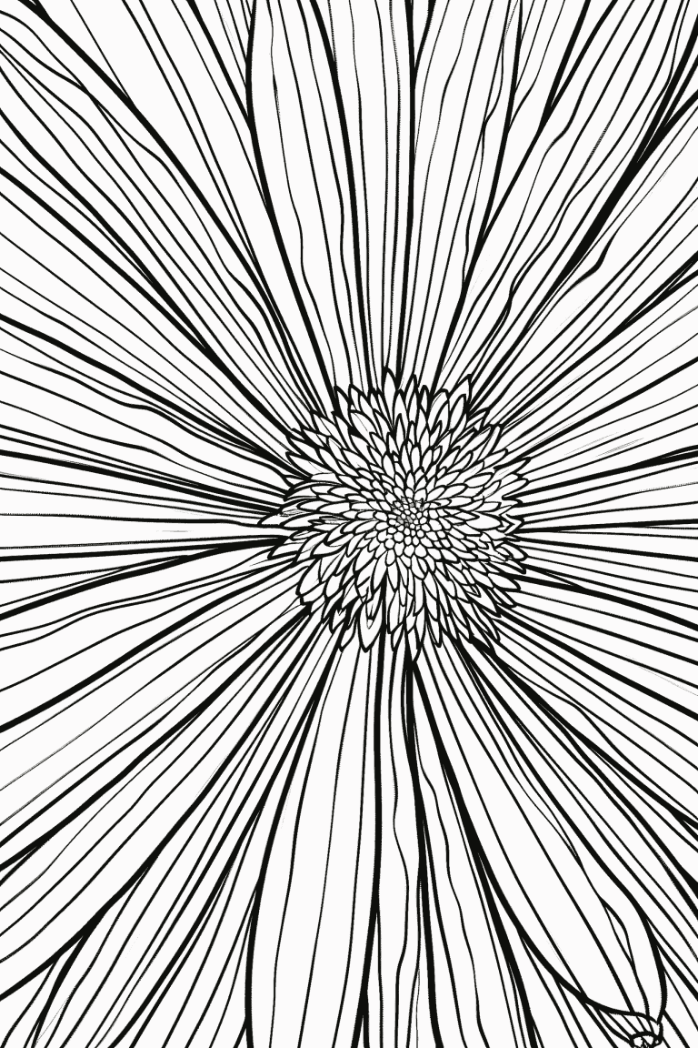 Close Up Aster