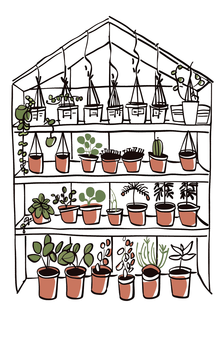 Greenhouse