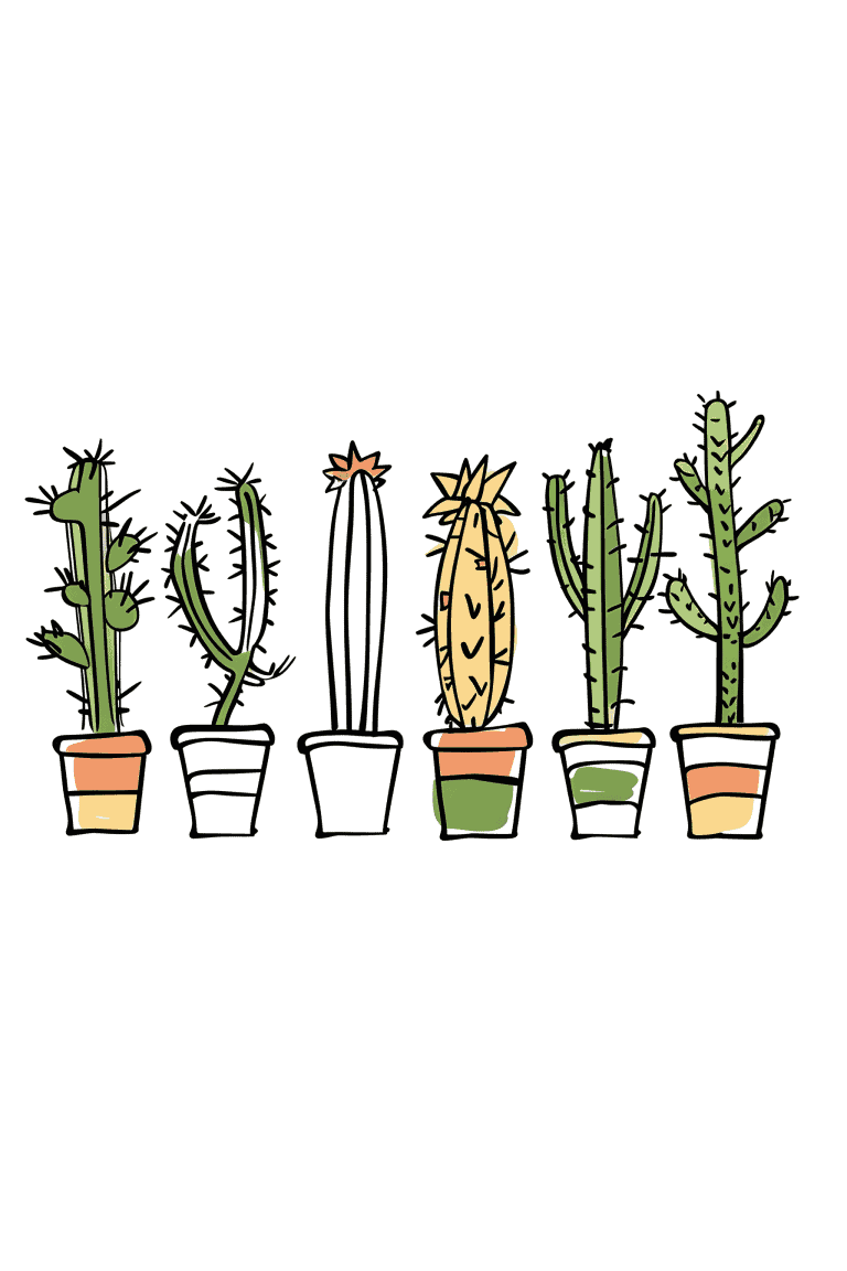 Row Of Cactus