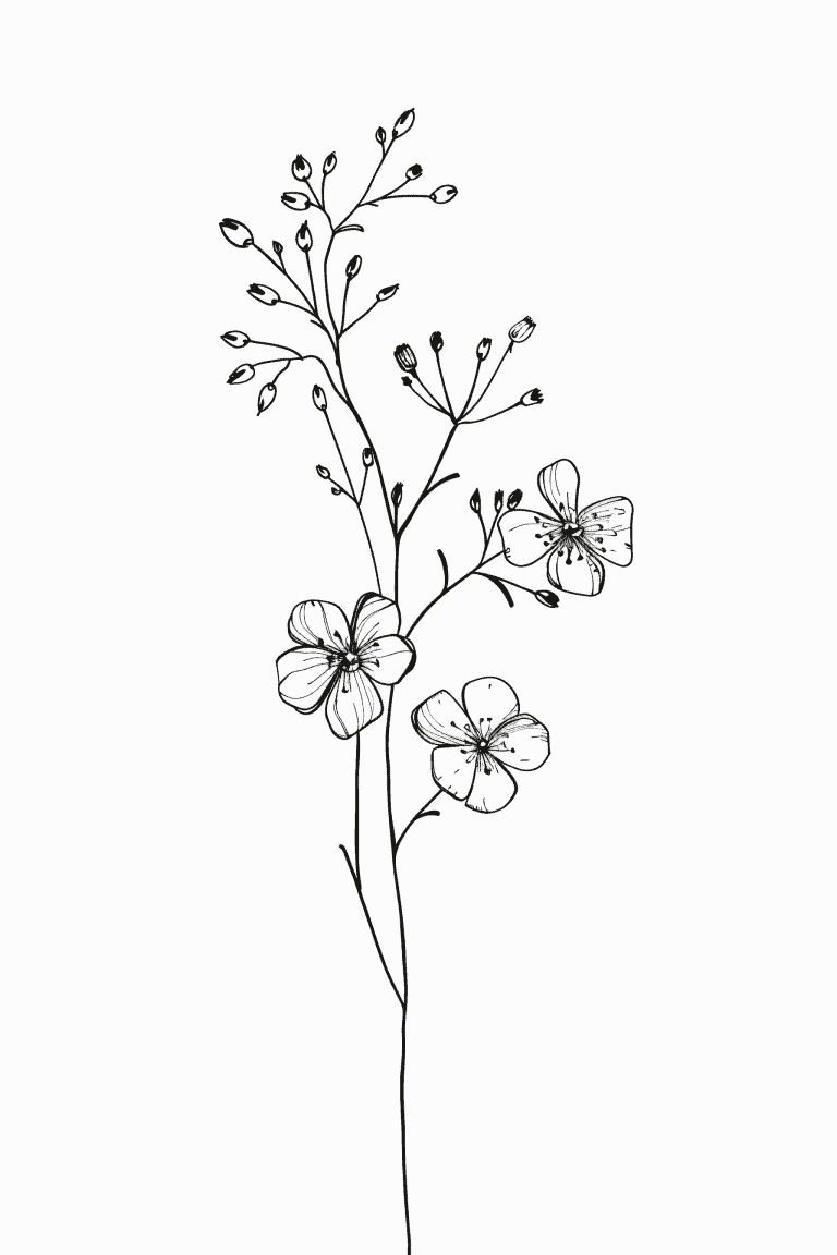 Forget Me Not