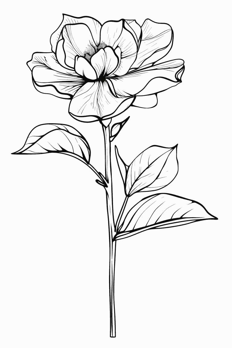 Gardenia