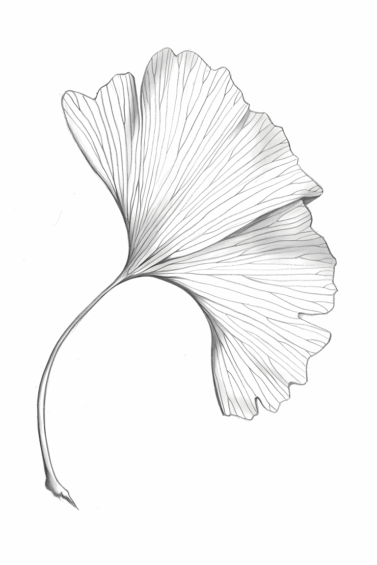 Example Heading: Spiral Wind Cresent Moon