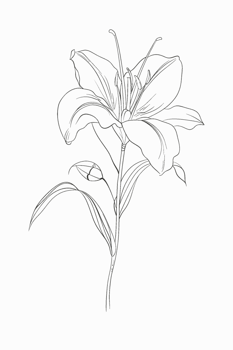 Lily