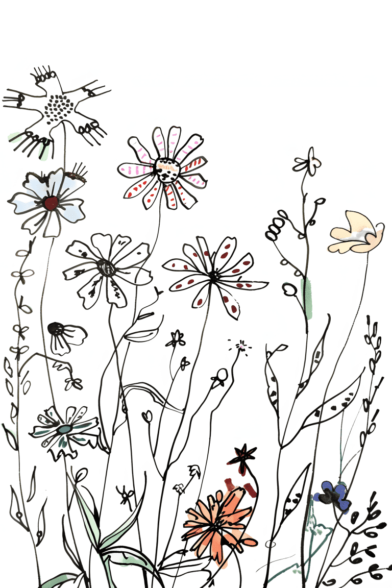 Wildflower Plant
