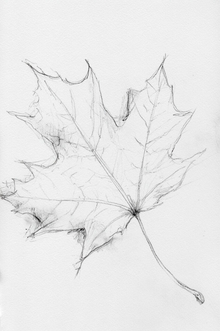 Maple Leaf