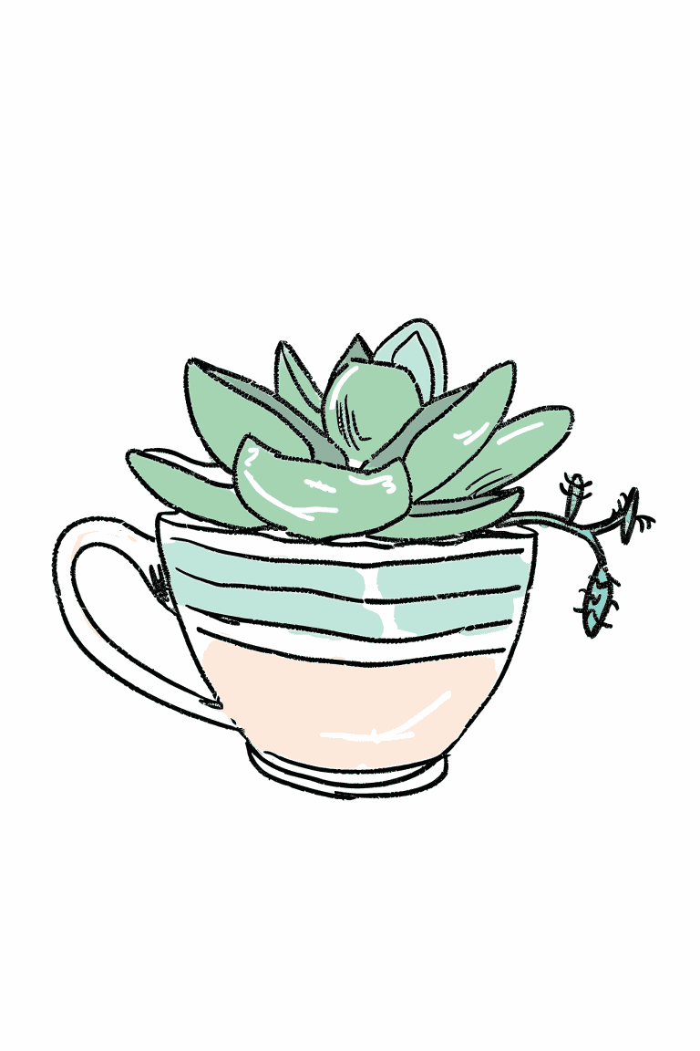 Succulent In A Teacup
