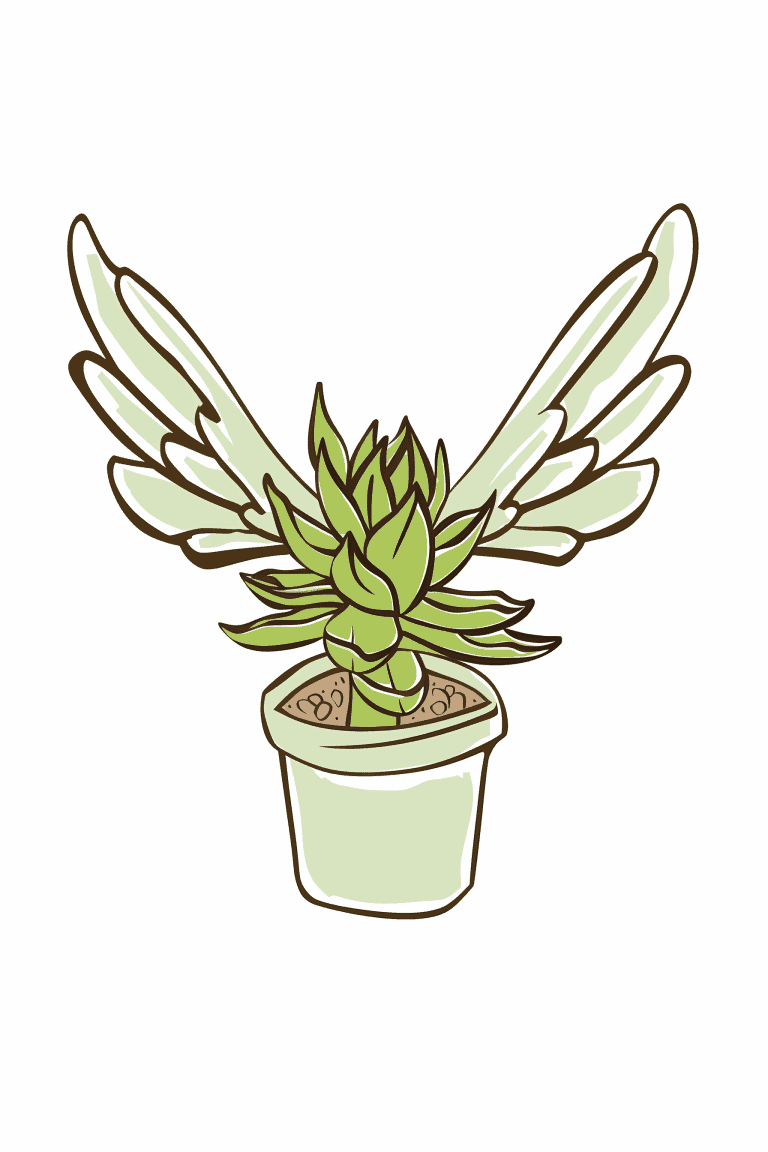 Succulent With Wings