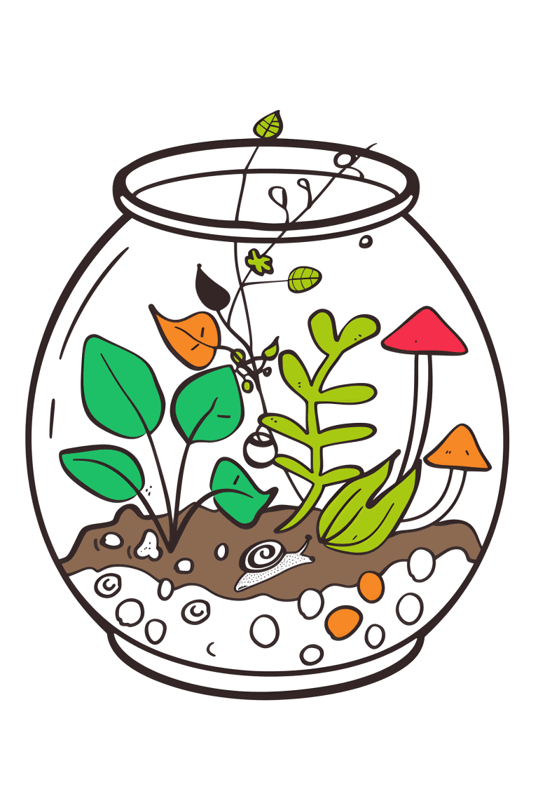 Terrarium Filled With Plants