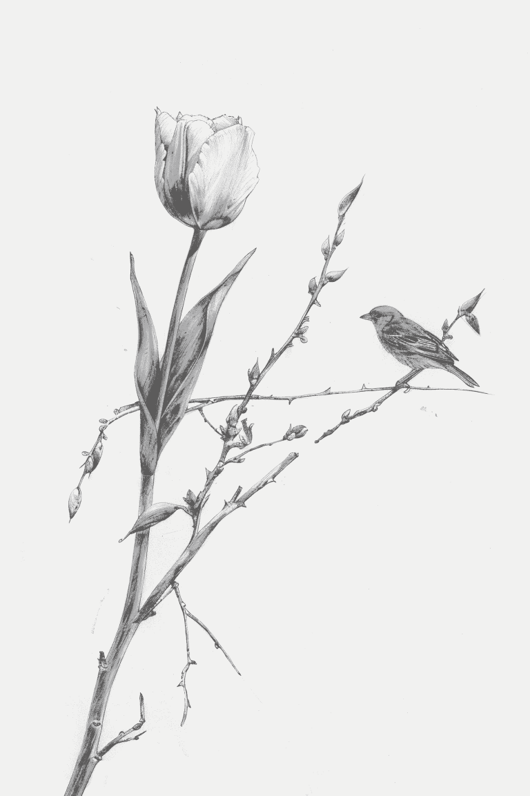 Bird Perched Near A Tulip