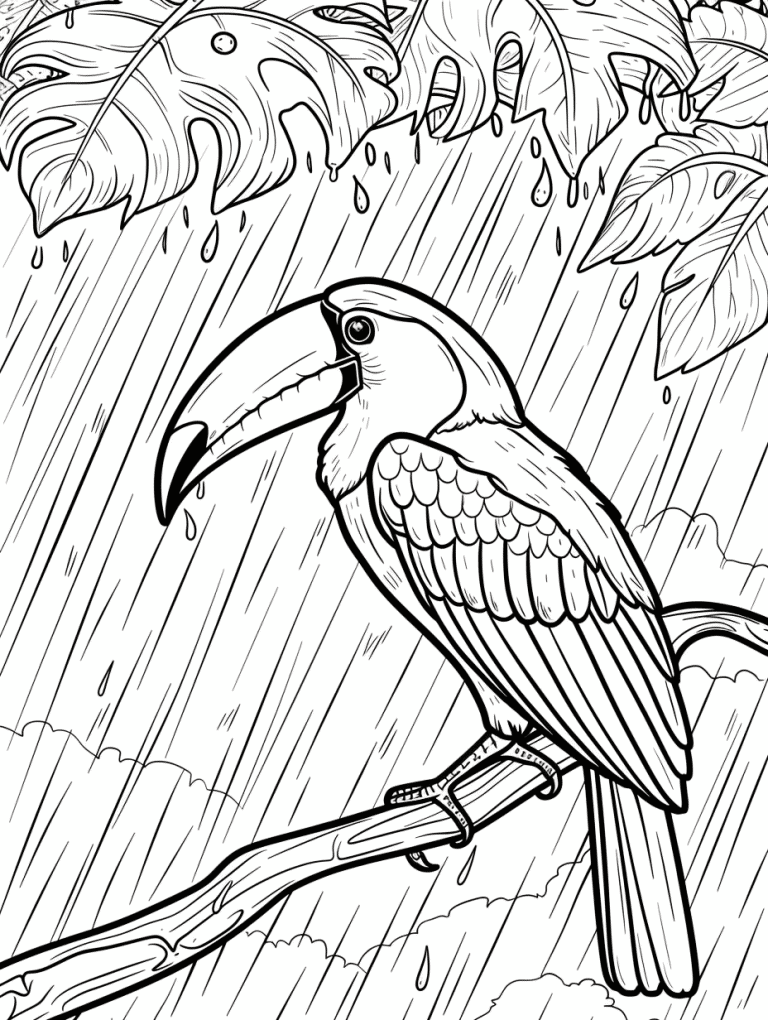 Toucan Hiding From The Rain