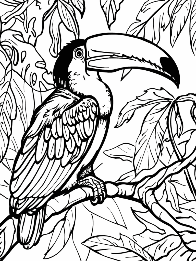 Toucan In A Jungle Scene